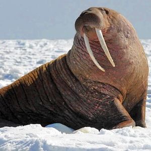 Meet your Posher, Tim